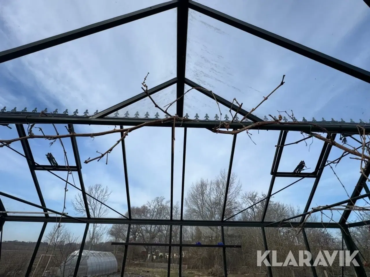 Billede 12 - Orangeri Janssens Helios