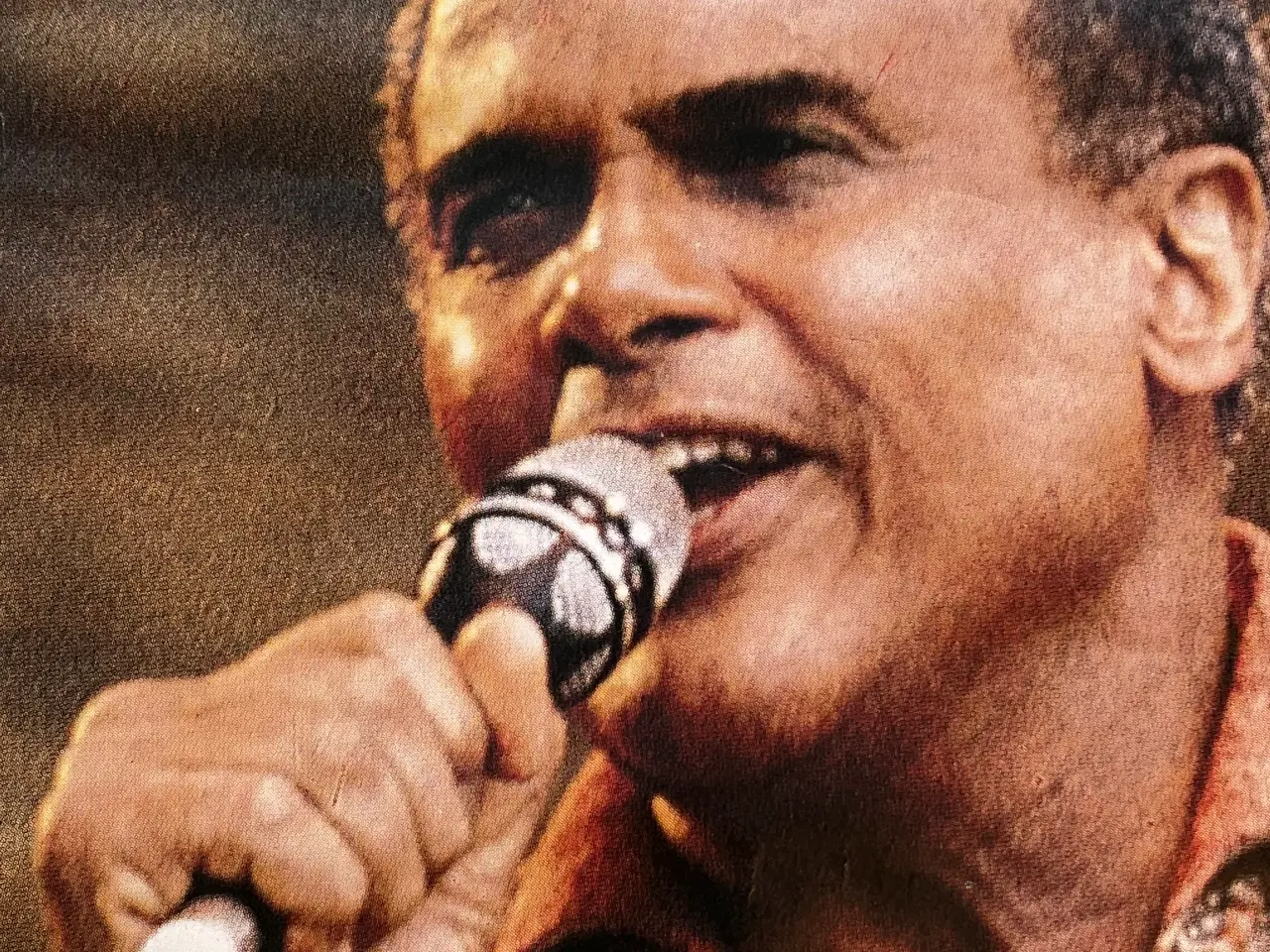 Billede 2 - Signeret Vintage Koncertplakat, Harry Belafonte, m