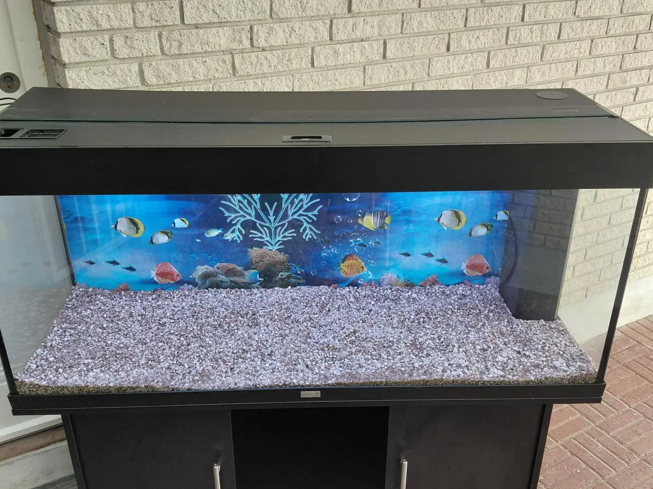 Billede 4 - Akvarier 240L 