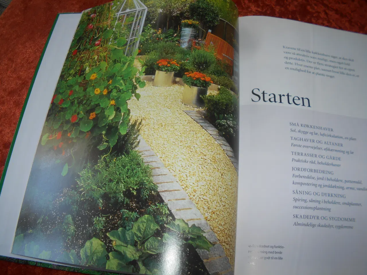 Billede 5 - Den praktiske køkkenhave, Barbara Segall,
