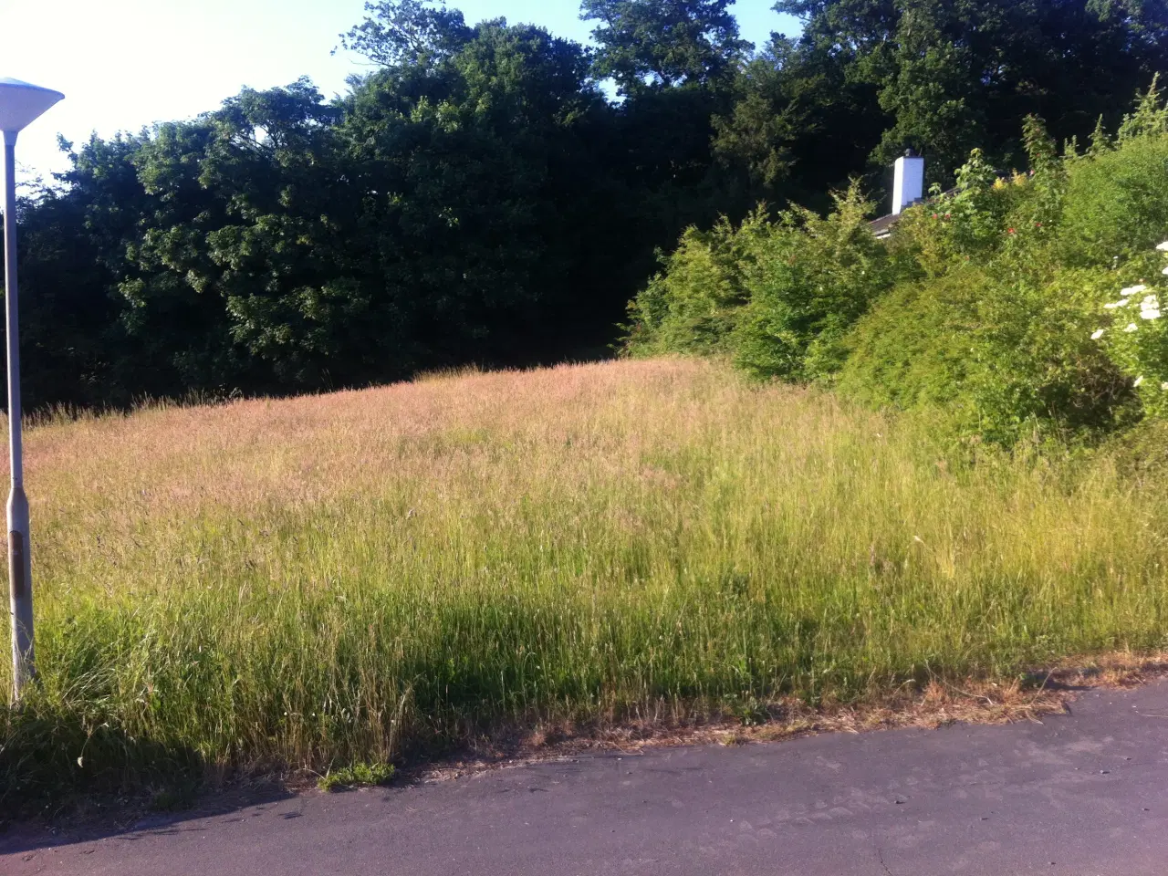 Billede 2 - Byggegrund for liebhaver.