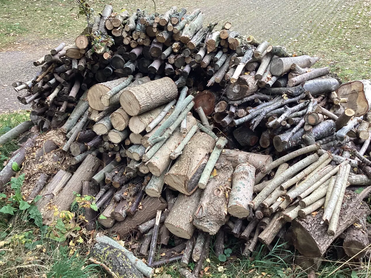 Billede 4 - Firewood