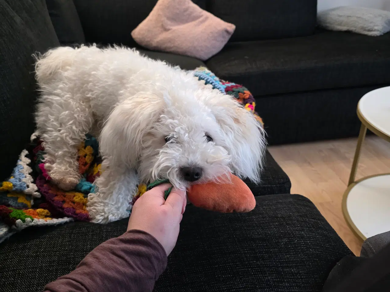 Billede 3 - Ludvig på 11 mdr 