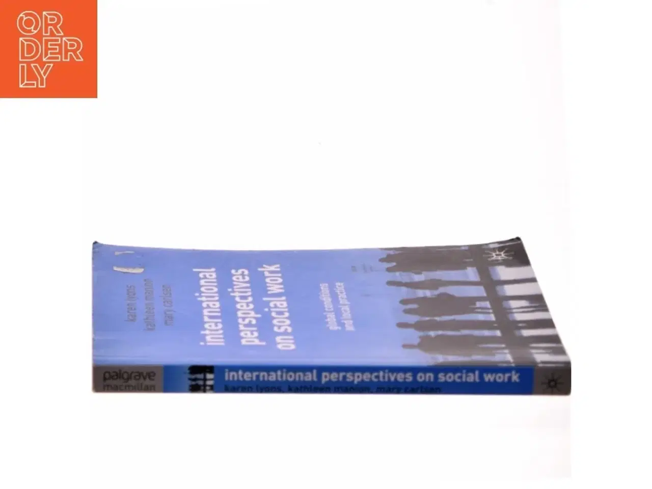 Billede 2 - International perspectives on social work : global conditions and local practice (Bog)