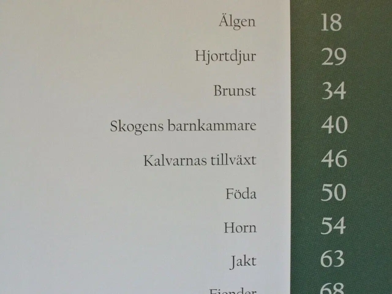 Billede 2 - skogens konung, av anna roos och kenneth johansson
