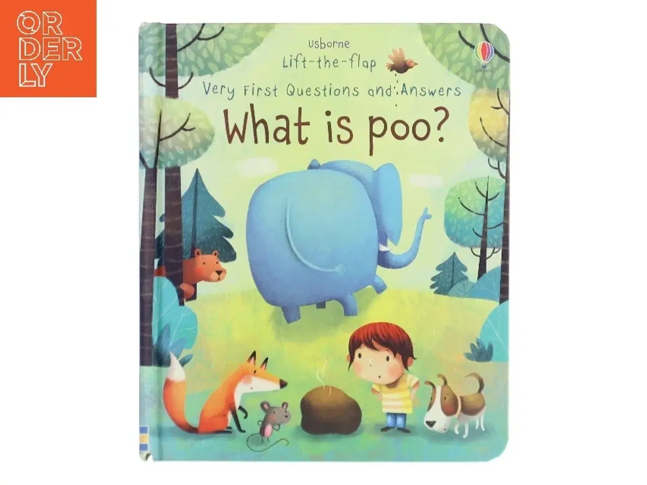 Billede 1 - Very First Lift-The-flap Questions and Answers What Is Poo? af Katie Daynes (Bog)