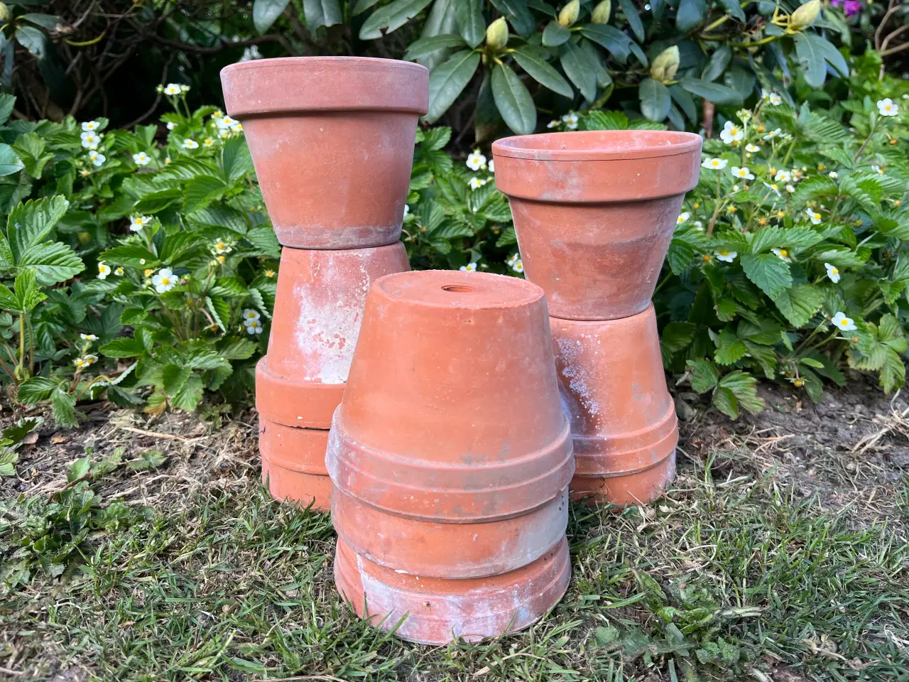 Billede 1 - Terracotta urtepotter