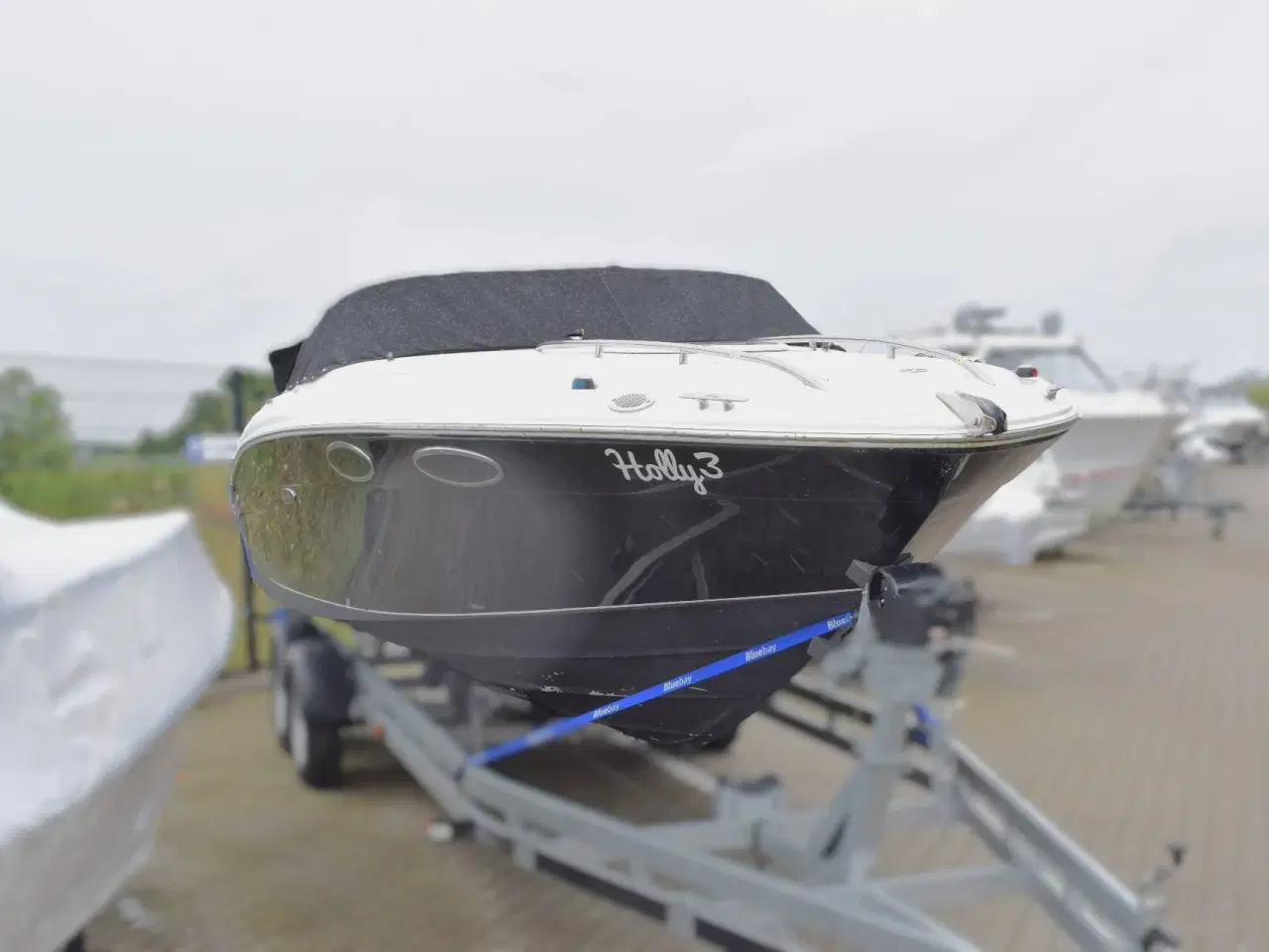 Billede 3 - Searay 240 Sunsport