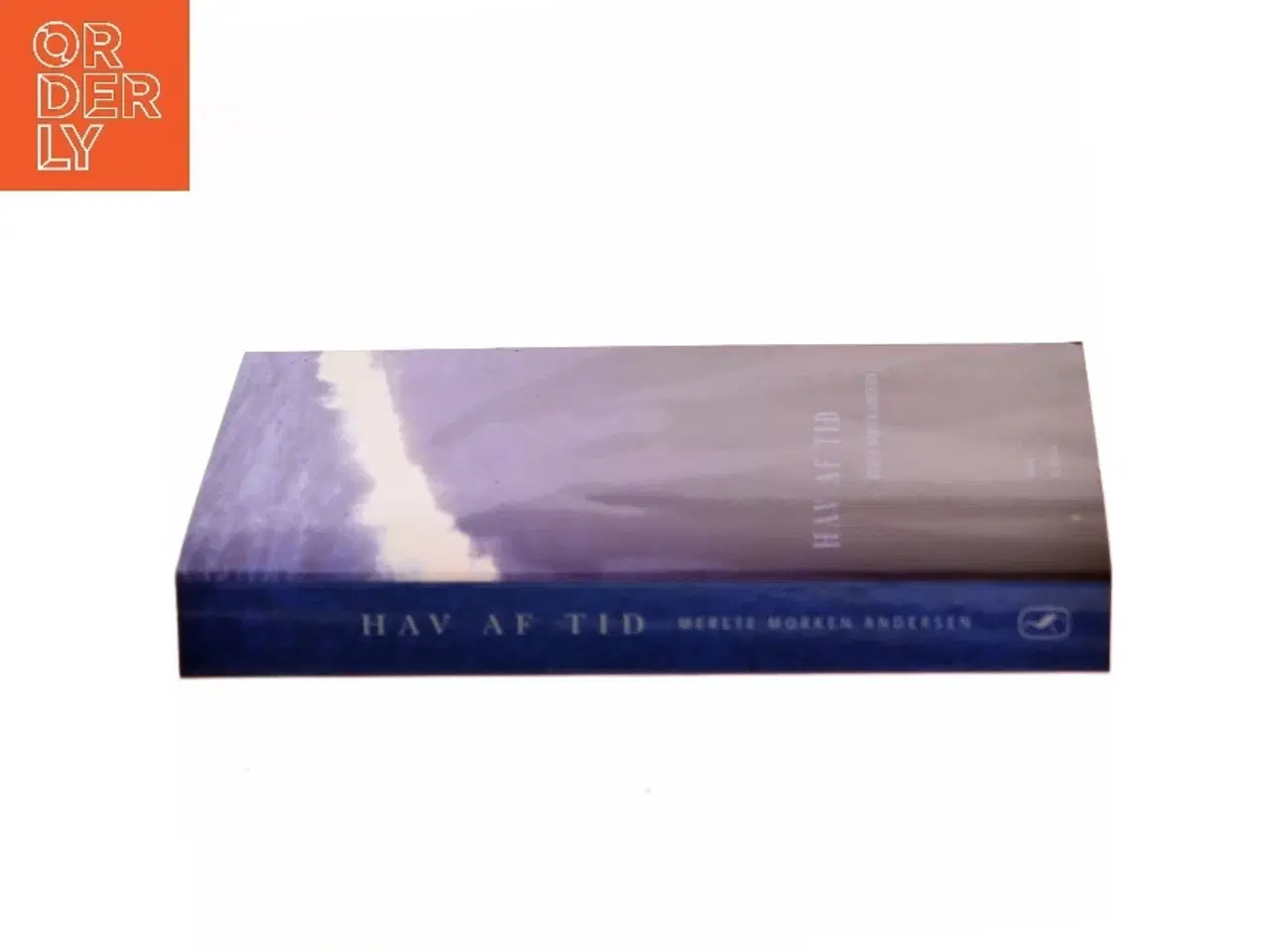 Billede 2 - Hav af tid : roman af Merete Morken Andersen (Bog)