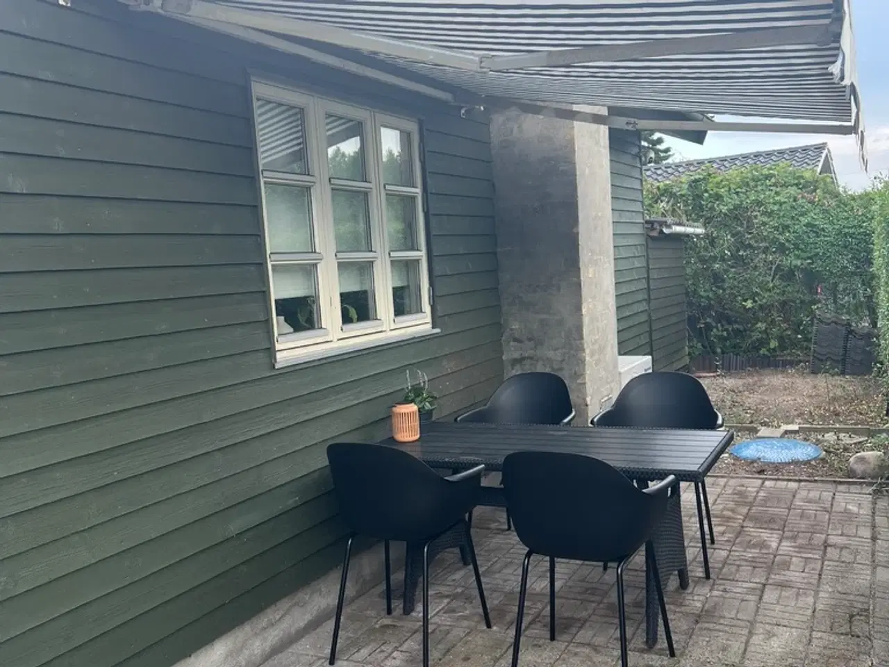 Billede 18 - Dejlig oase i Odense C - Kolonihave i Baagø