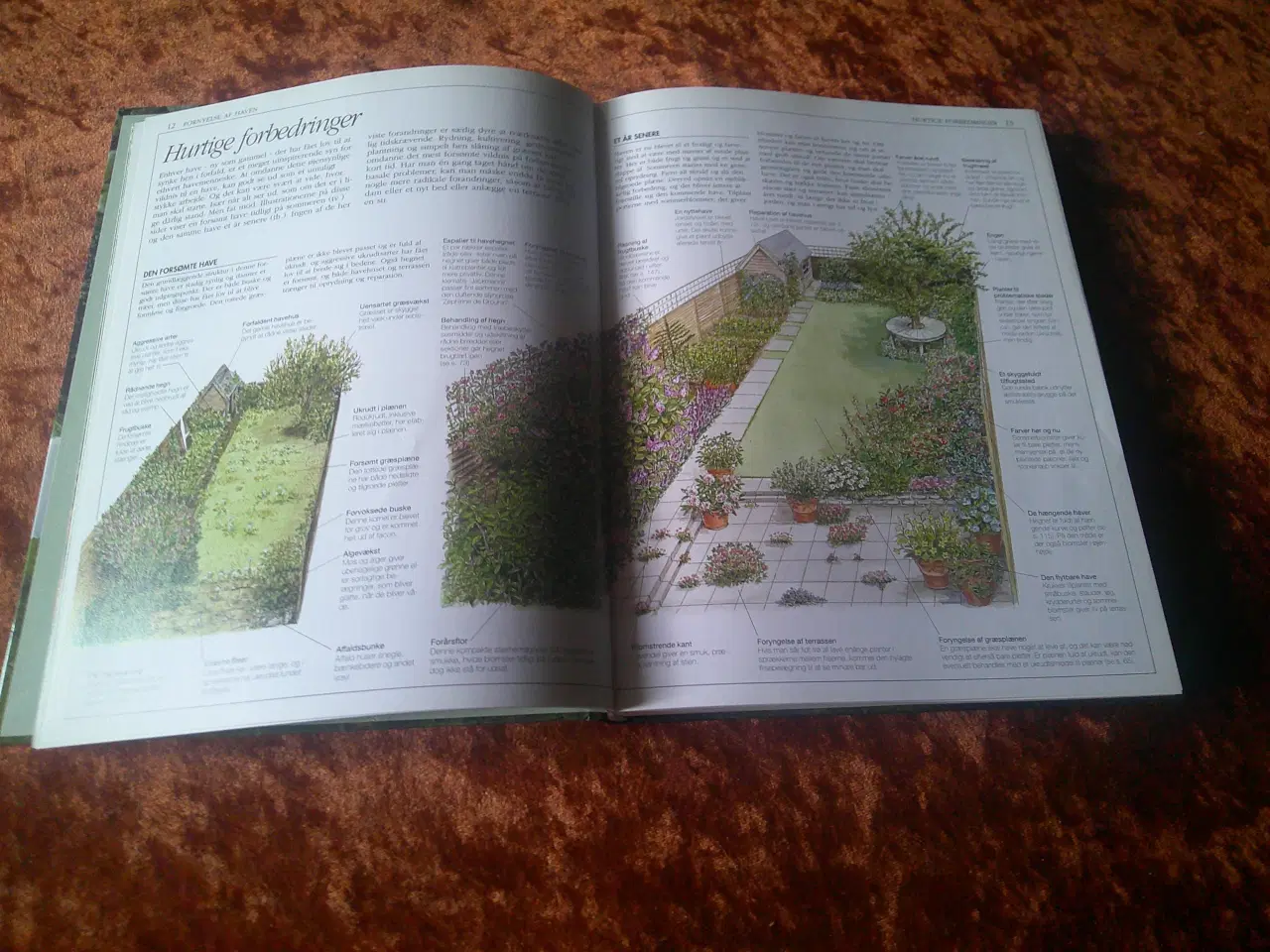 Billede 2 - Politikens begynderhavebog, Pippa Greenwood