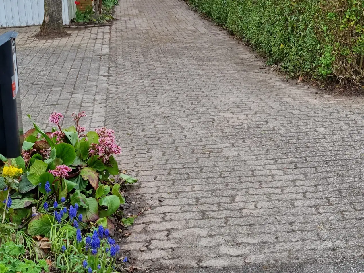 Billede 4 - Hus i Havnbjerg sælges