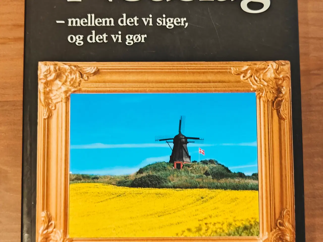 Billede 1 - Nedslag - mellem det vi siger, og det vi gør