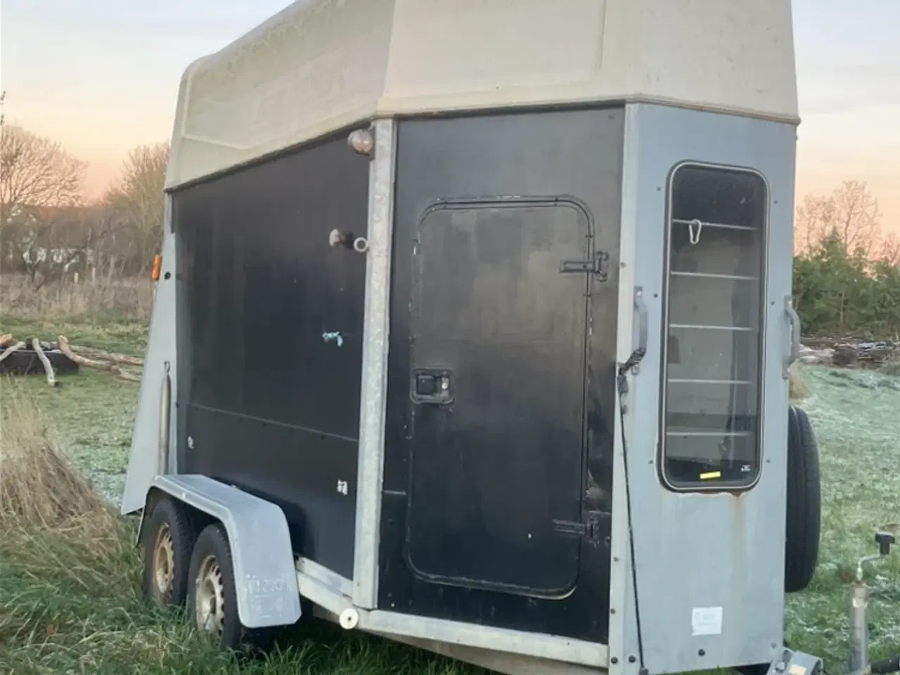 Billede 1 - Hestetrailer