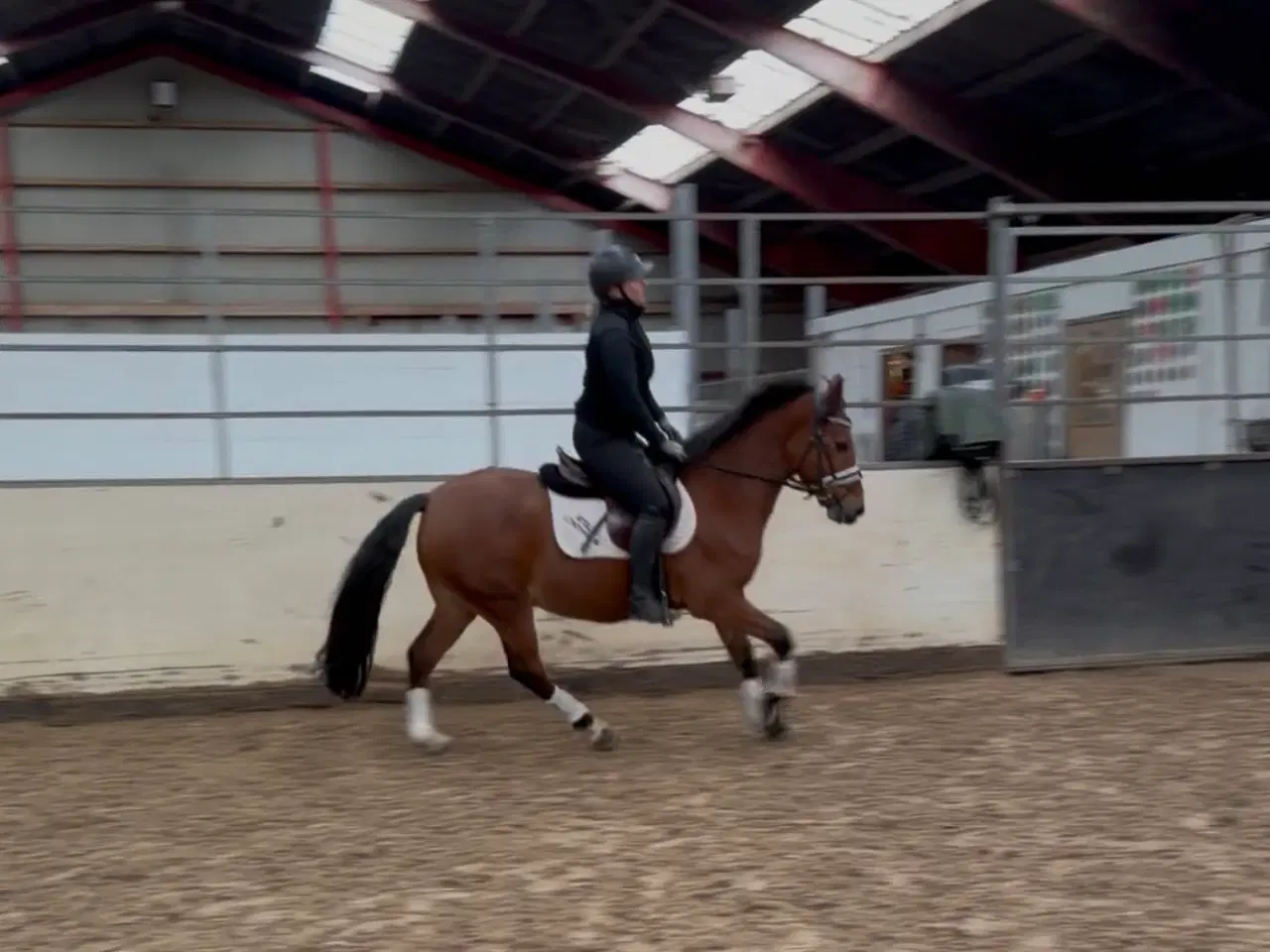 Billede 7 - Sød 1’er pony