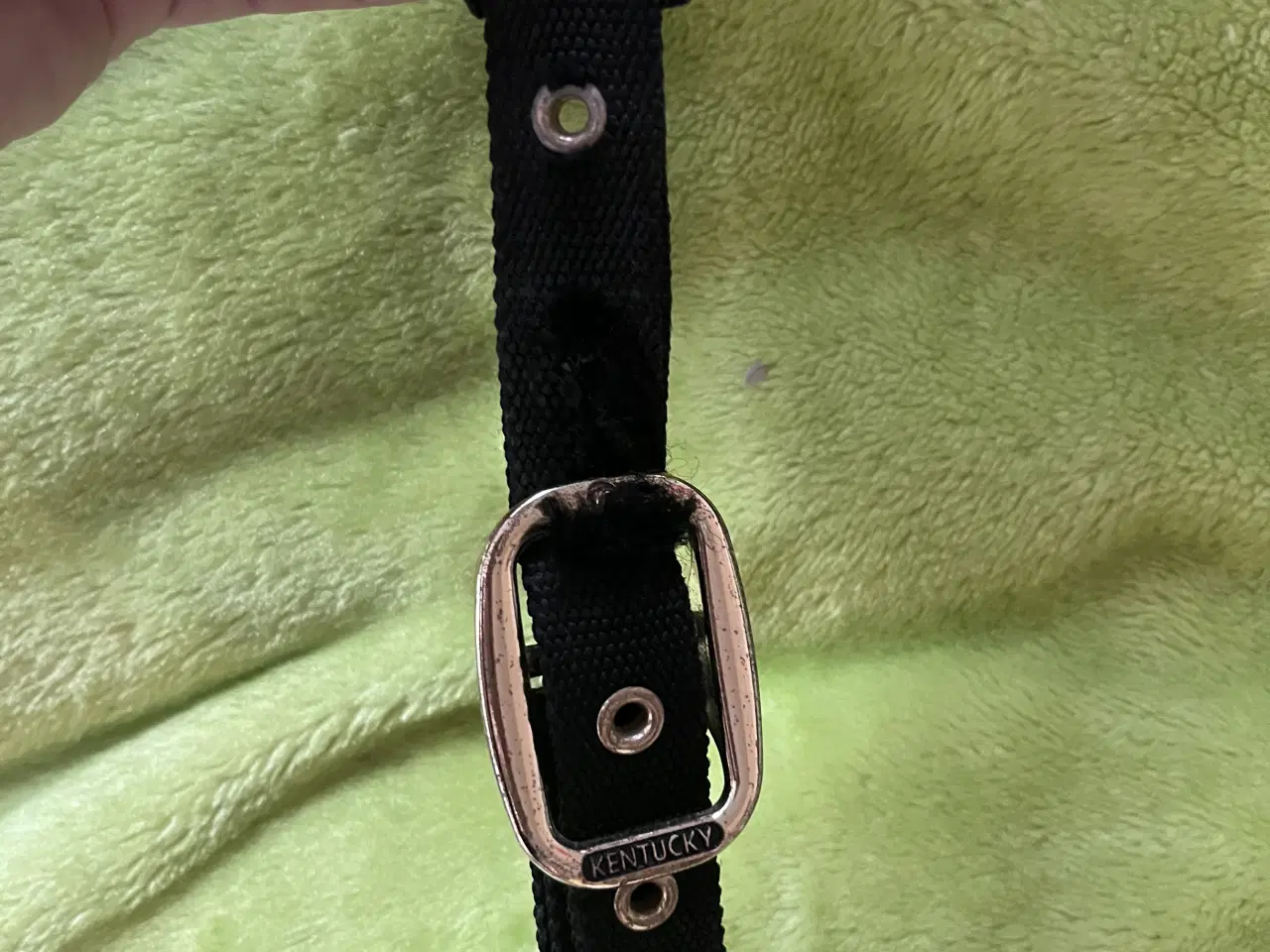 Billede 4 - Kentucky grime 