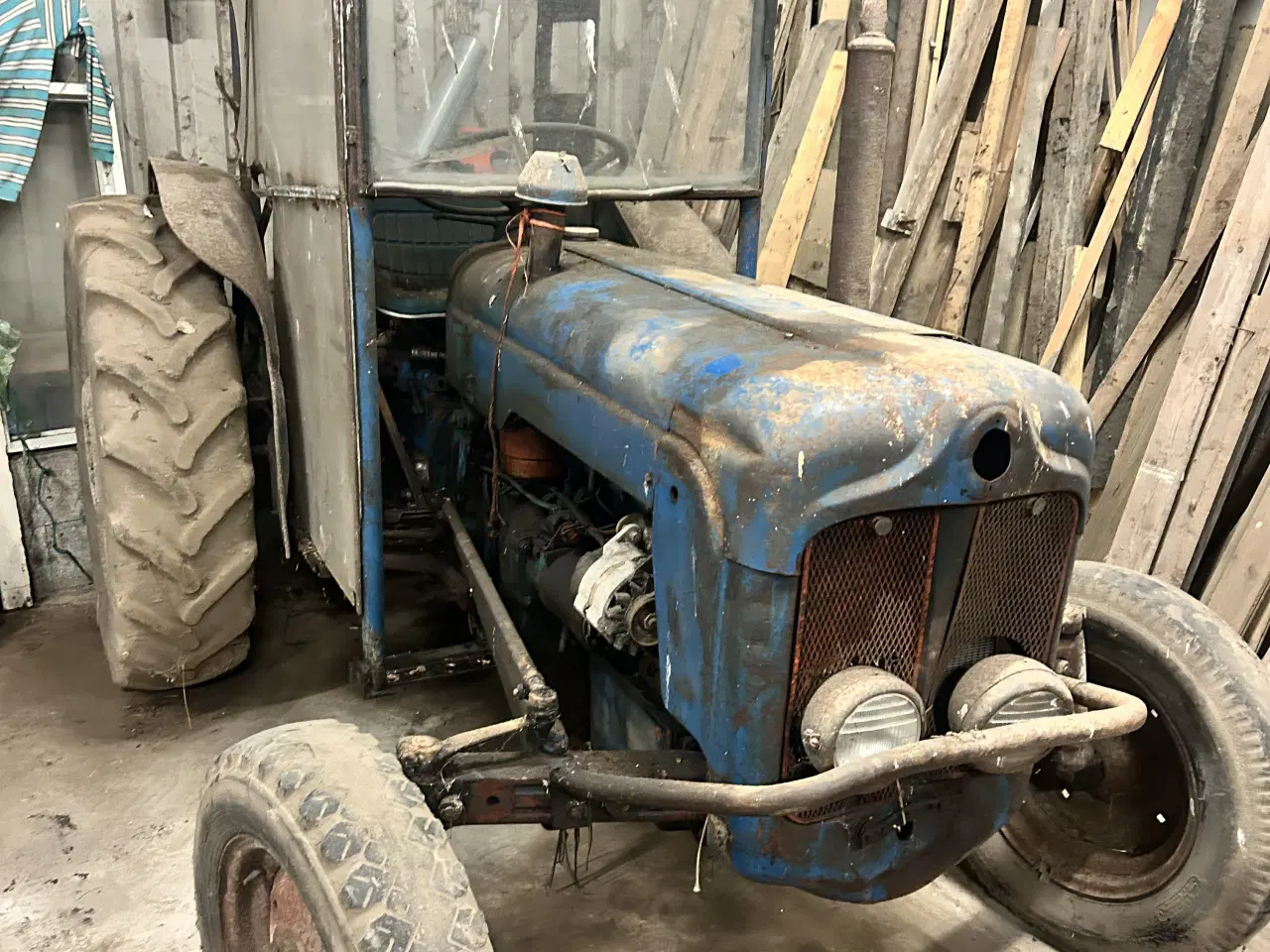 Billede 2 - Dexta - med mange gode minder