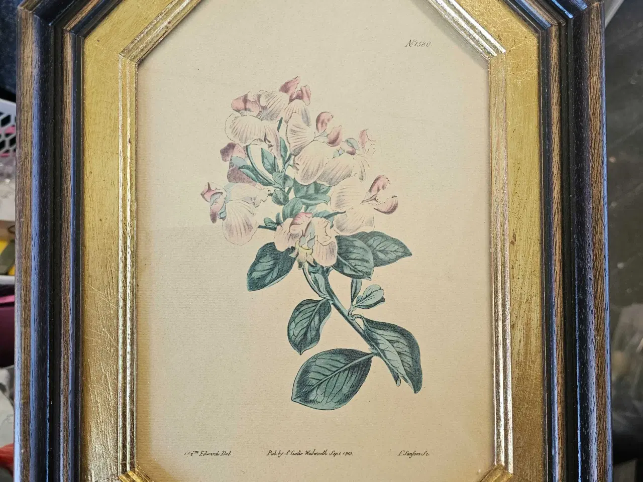 Billede 1 - Tegnede blomster
