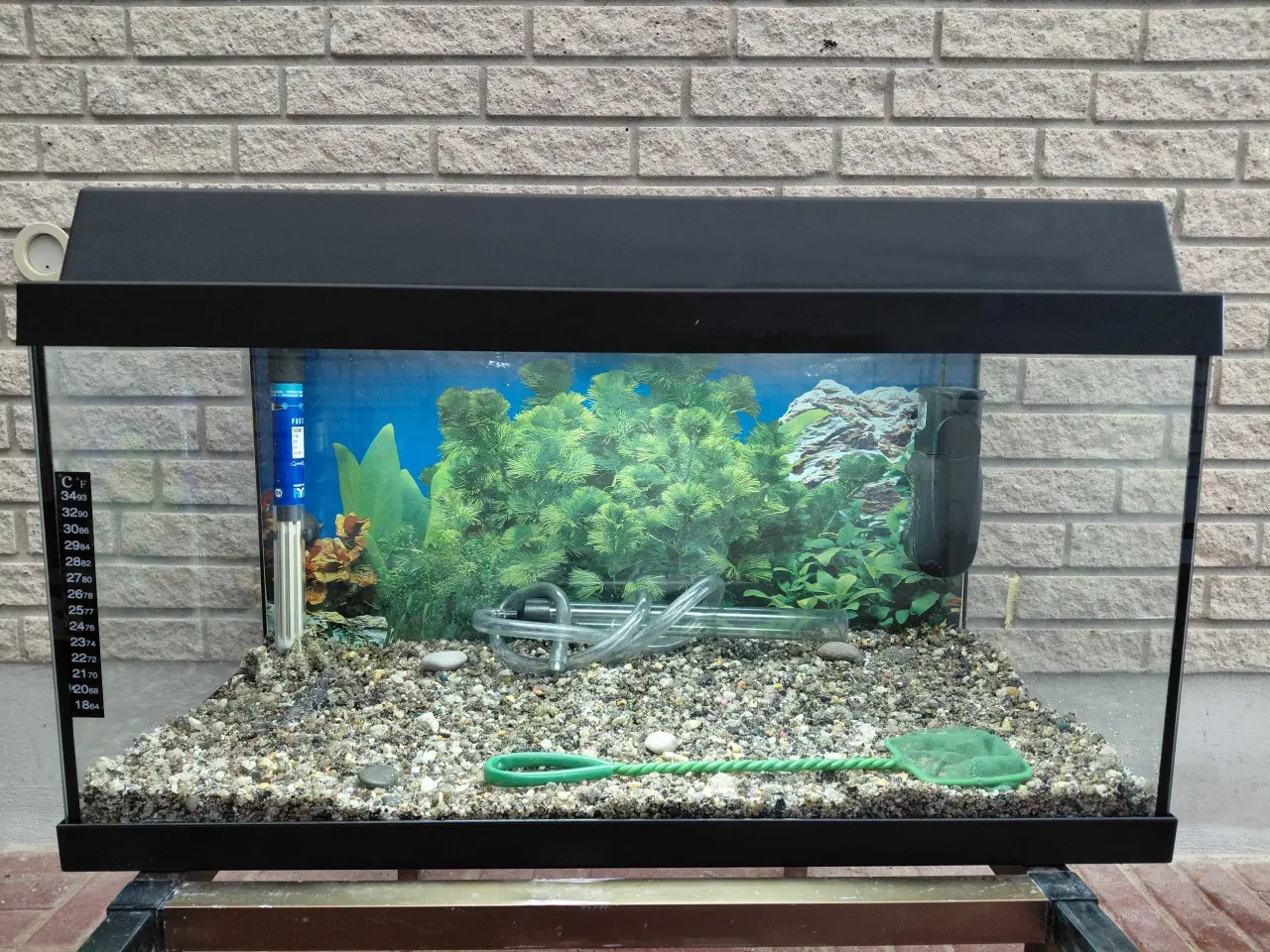 Billede 2 - Akvarier 54L 