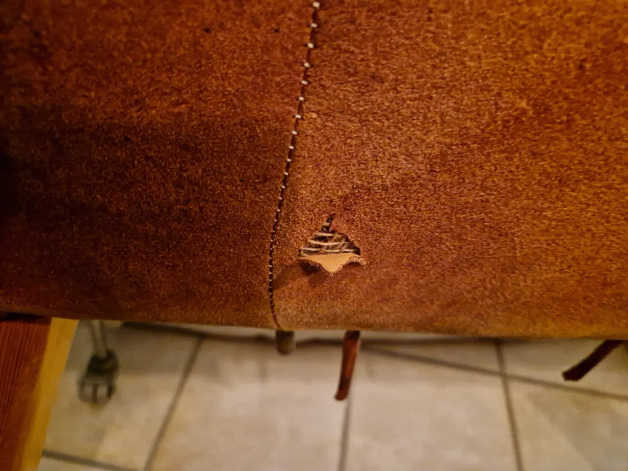 Billede 4 - Gymnastikhest