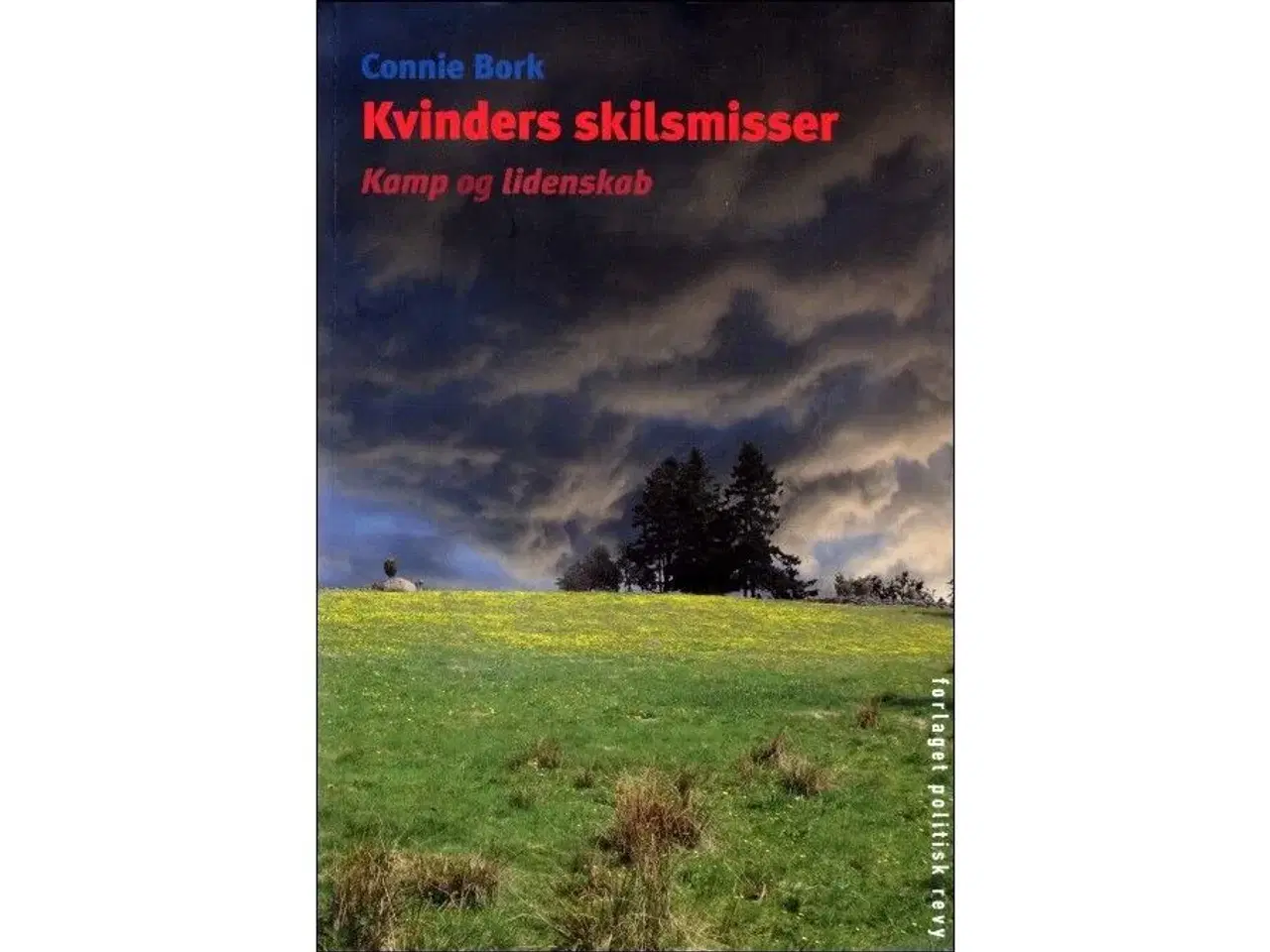 Billede 1 - Kvinders Skilsmisser