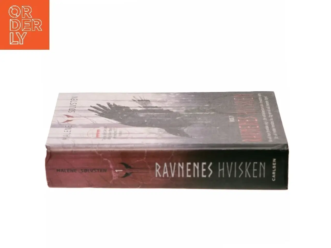 Billede 2 - Ravnenes hvisken. Bog 1 af Malene Sølvsten (Bog)