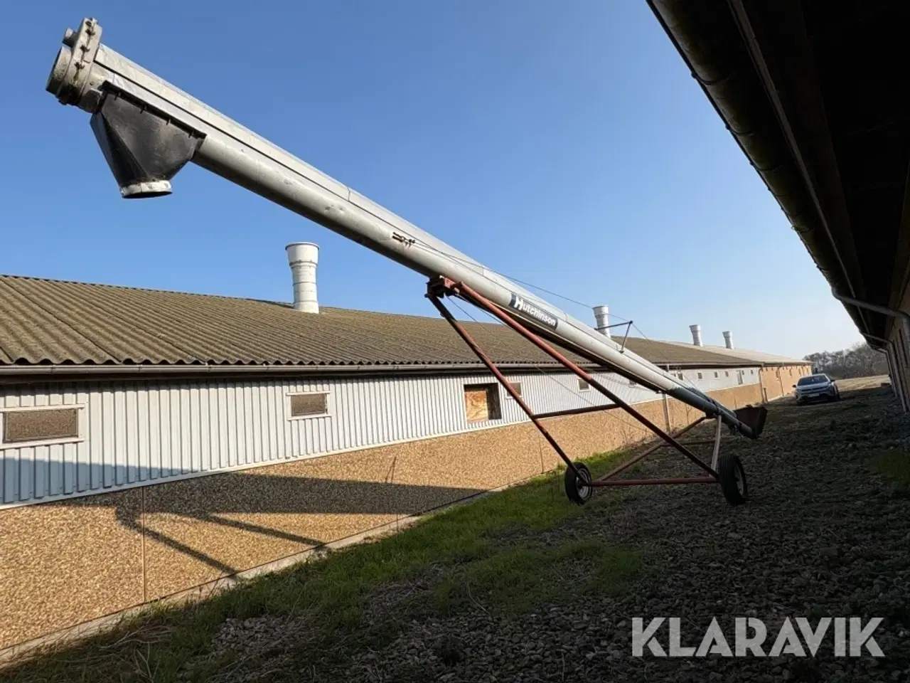 Billede 3 - Kornsnegl Hutchinson