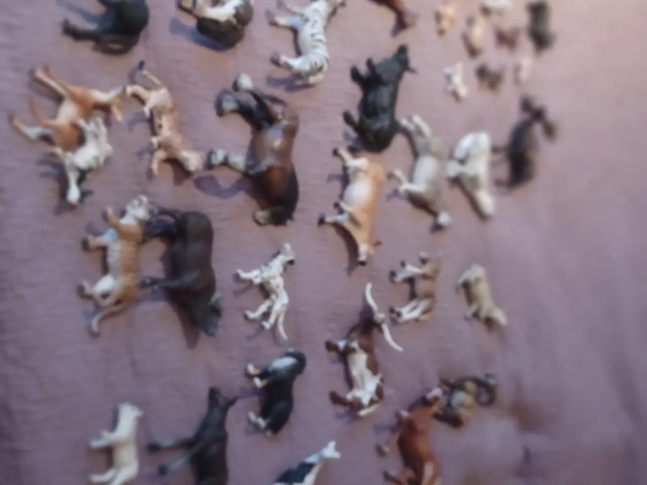 Billede 6 - Schleich dyr vilde og heste sælges