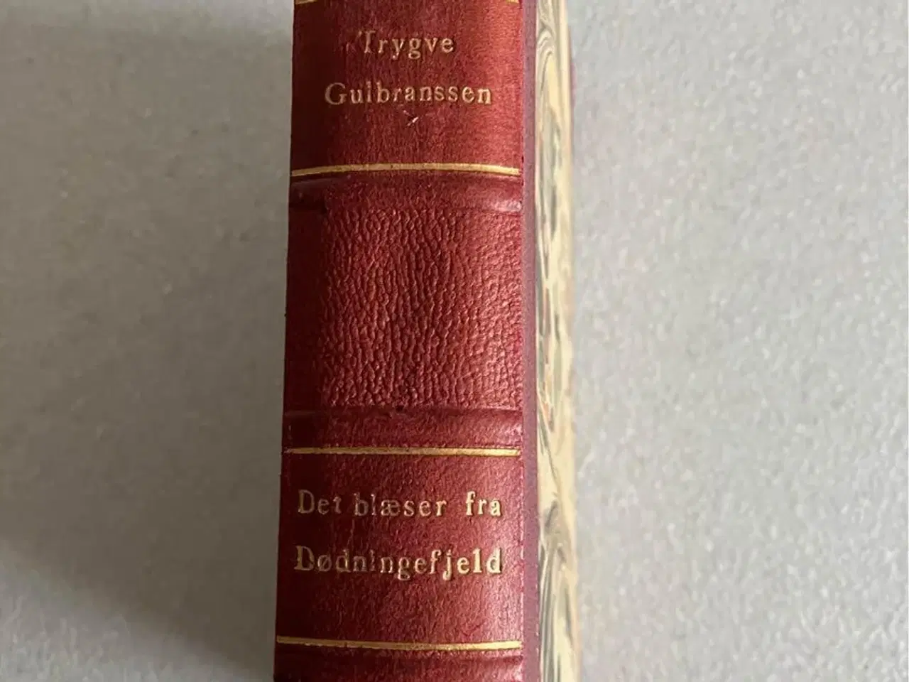 Billede 2 - Gammel antikvarisk bog roman skrevet af den norske