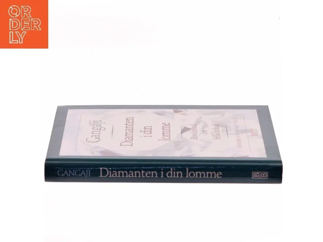 Billede 2 - Diamanten i din lomme af Gangaji (Bog)