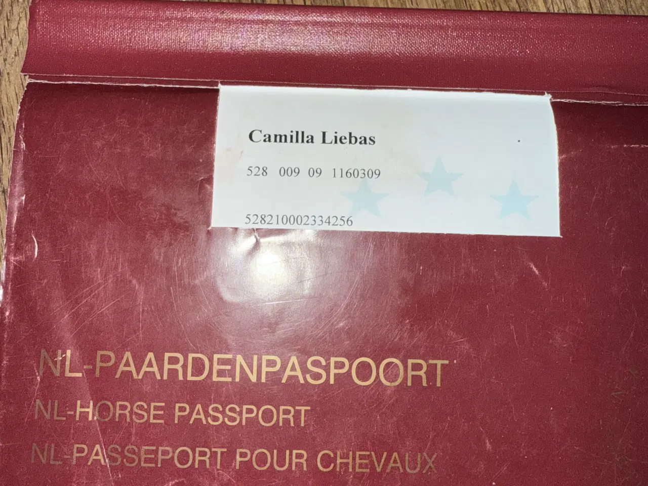 Billede 4 - Shetlandsponyer