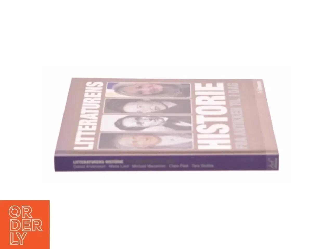 Billede 2 - Litteraturens historie : Fra antikken til i dag af Daniel Andersson (Bog)