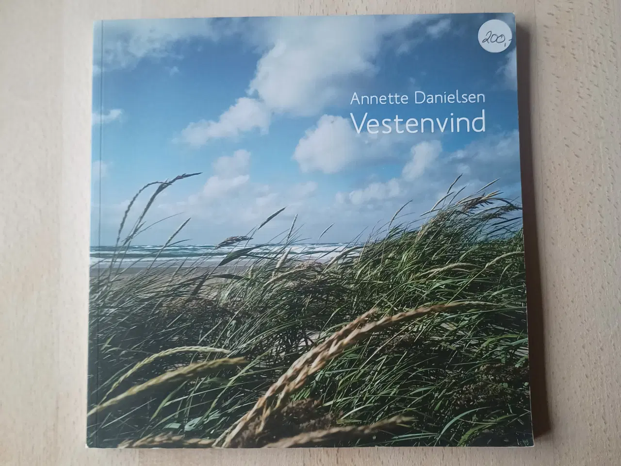 Billede 1 - Vestenvind: Annette Danielsen