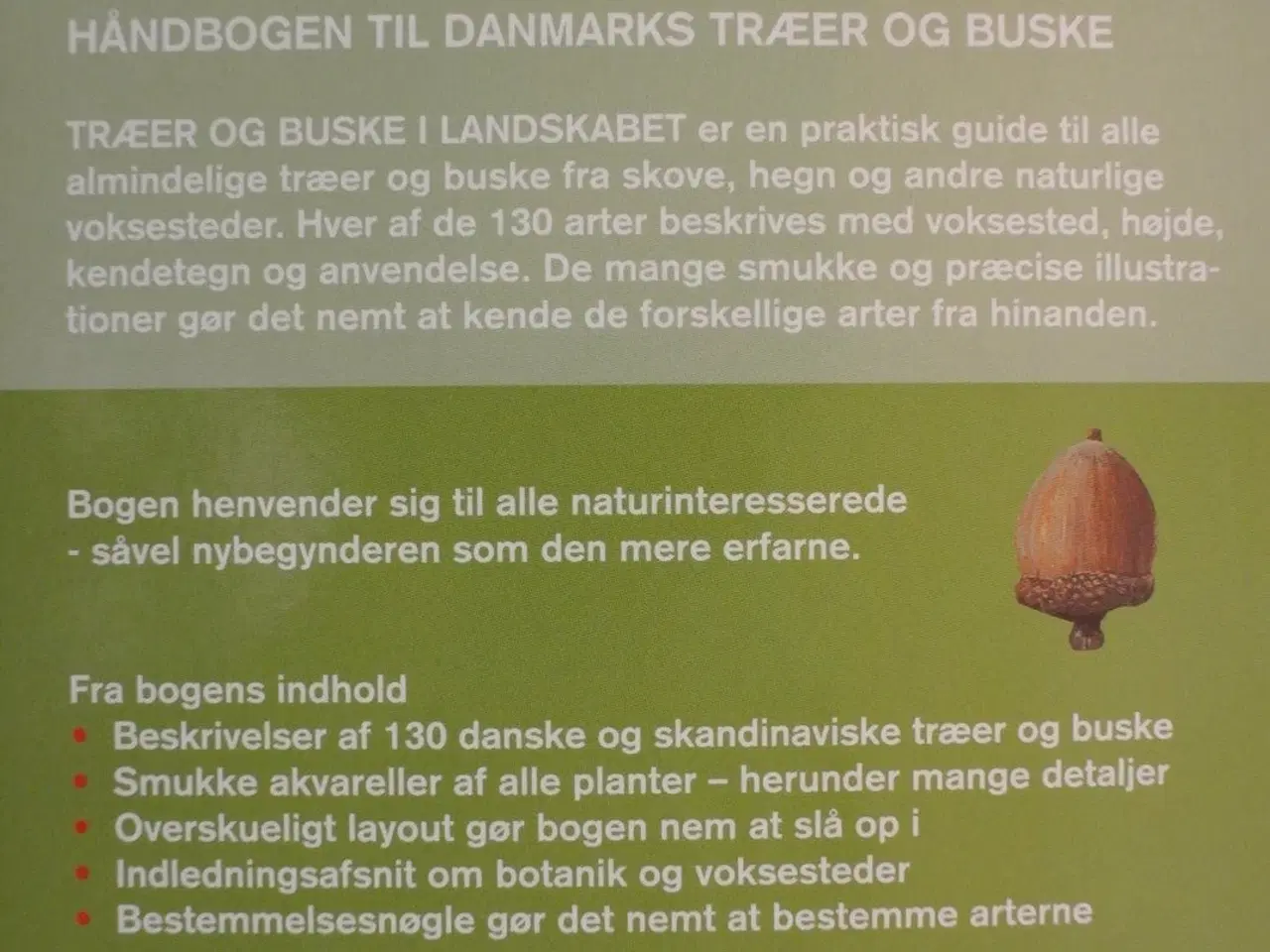 Billede 4 - træer og buske i landskabet, af helge vedel og jet