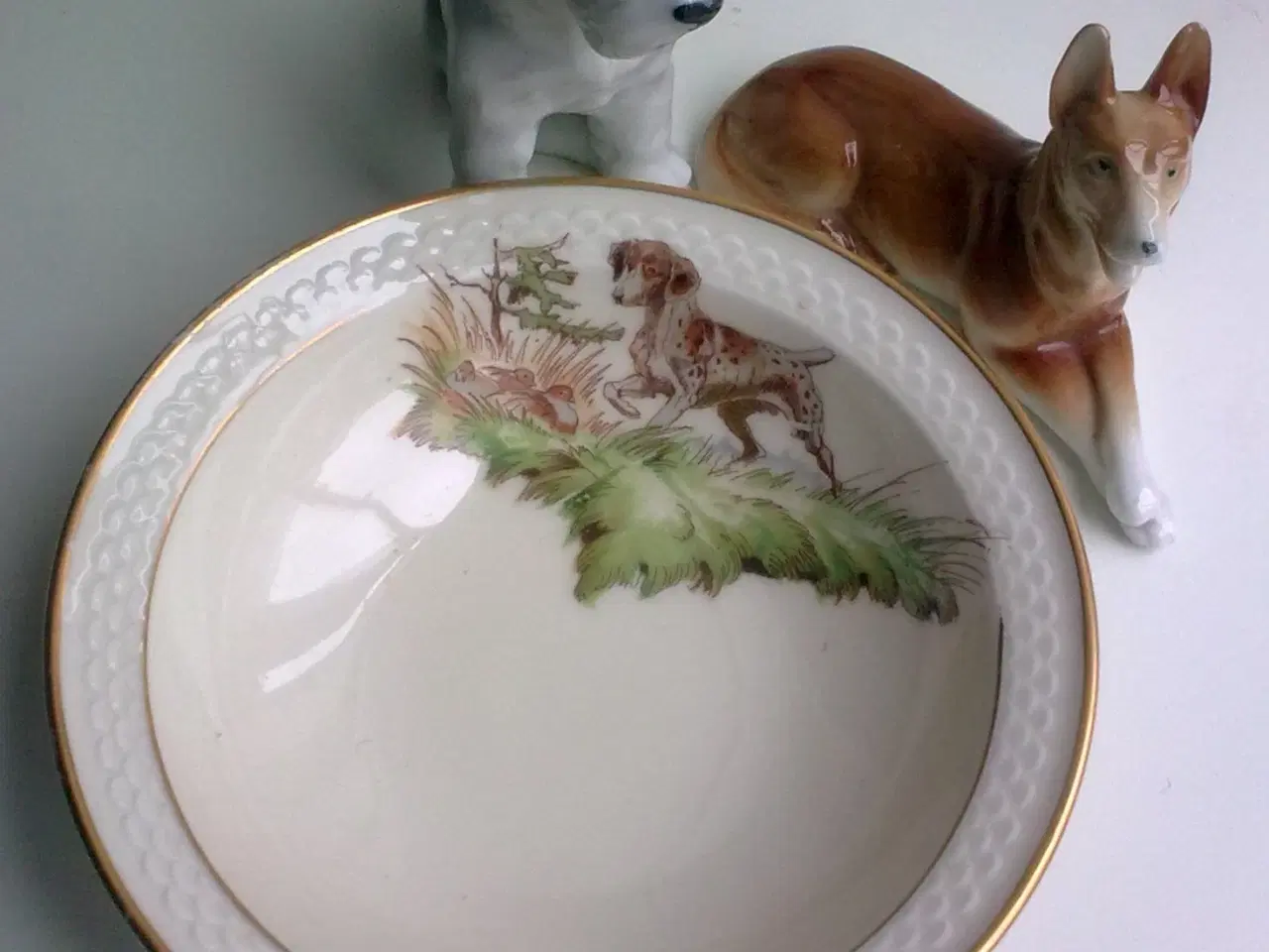 Billede 1 - Hundeskål i eller vagthund ved siden & hund TEMA