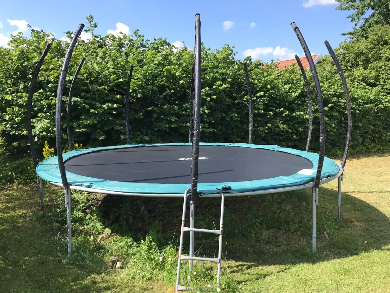 Billede 2 - Stor trampolin m. sikkerhedsnet og stige