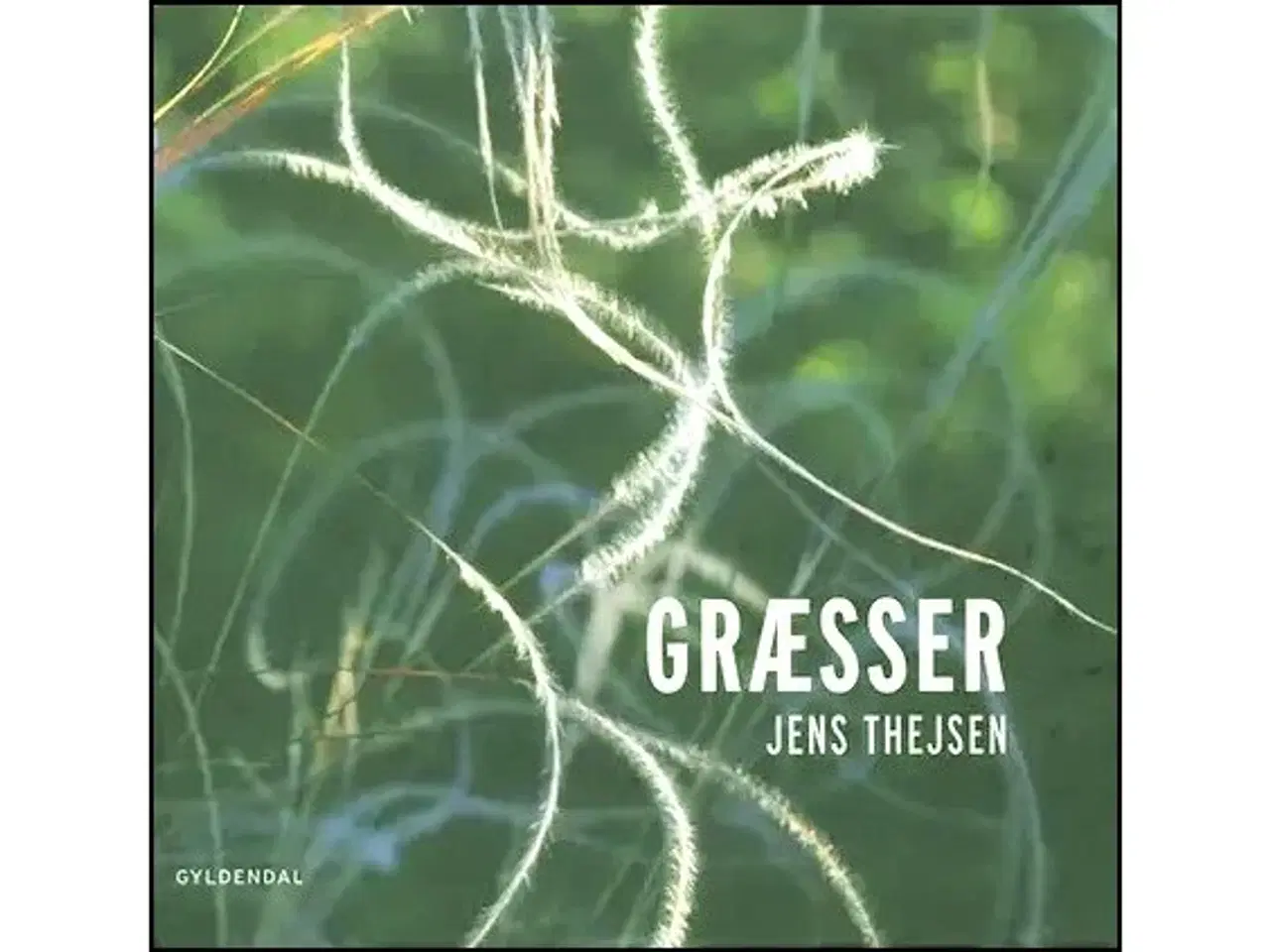 Billede 1 - Græsser