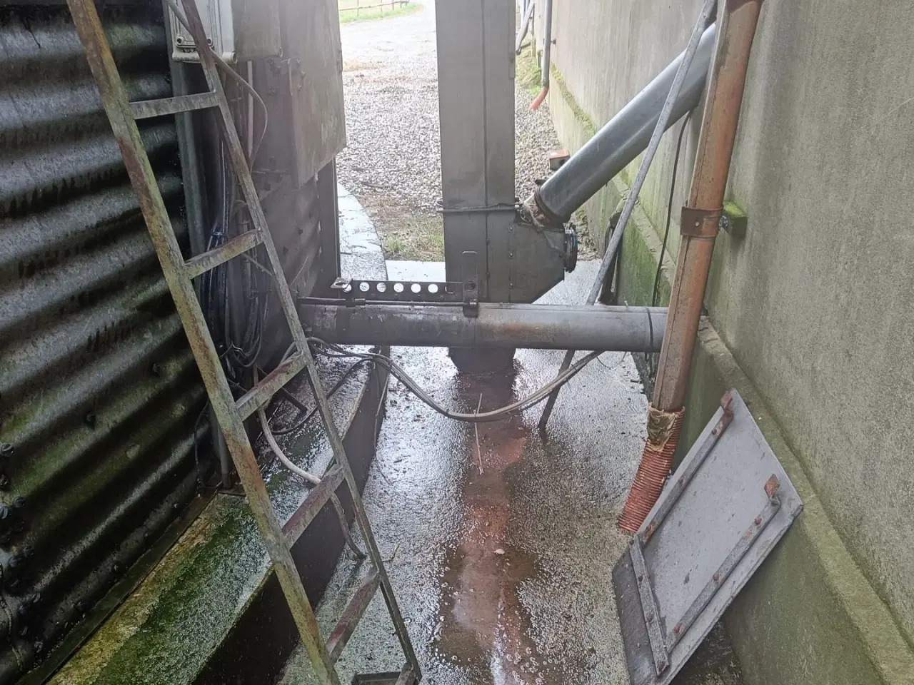 Billede 6 - - - - Dancorn Sukup 1.000 tons