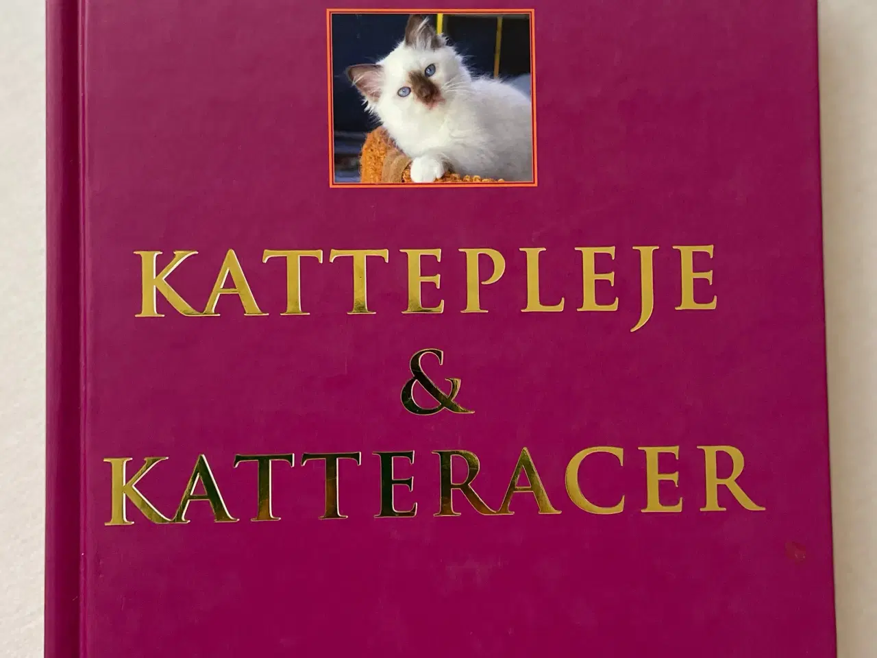 Billede 1 - Bog Kattepleje og katteracer 