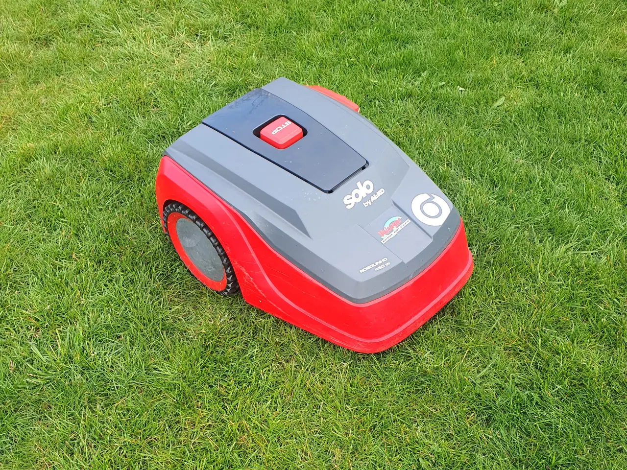 Billede 1 - AL-KO Robolinho Solo 450 W