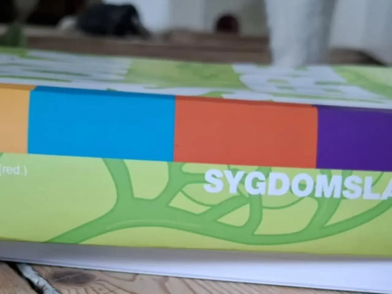 Billede 3 - Sygdomslære - Hånden på hjertet