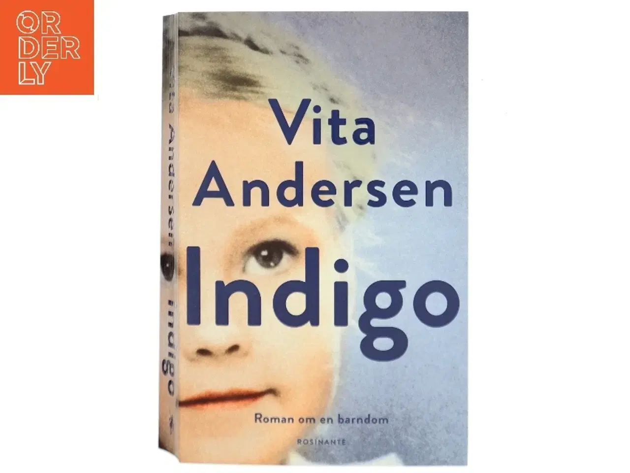 Billede 1 - Indigo : roman om en barndom af Vita Andersen (f. 1944) (Bog)
