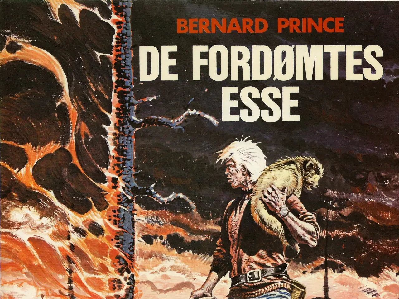 Billede 15 - Bernard Prince 14 albums