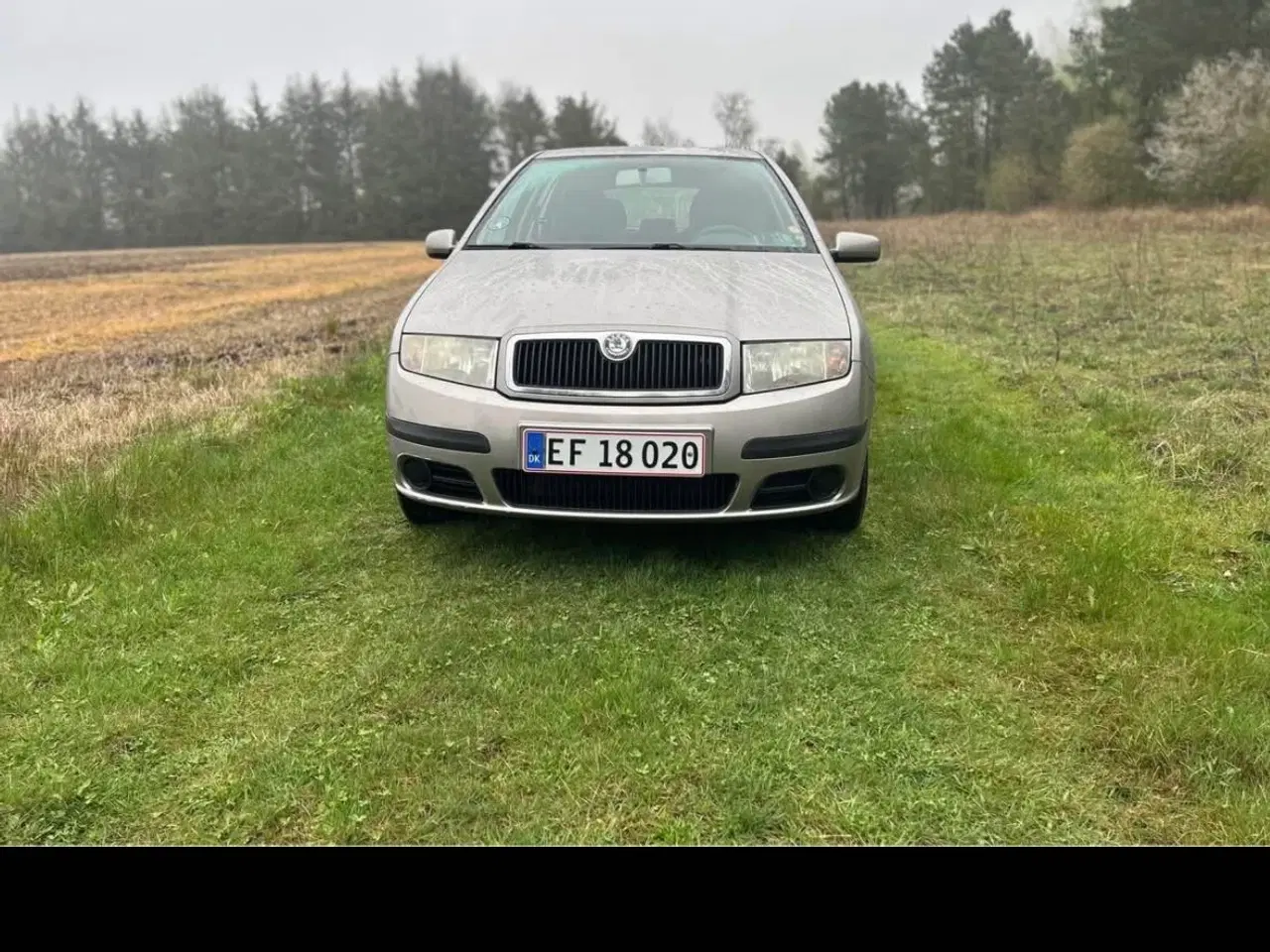 Billede 2 - Skoda fabia 1,4 tdi nysynet 