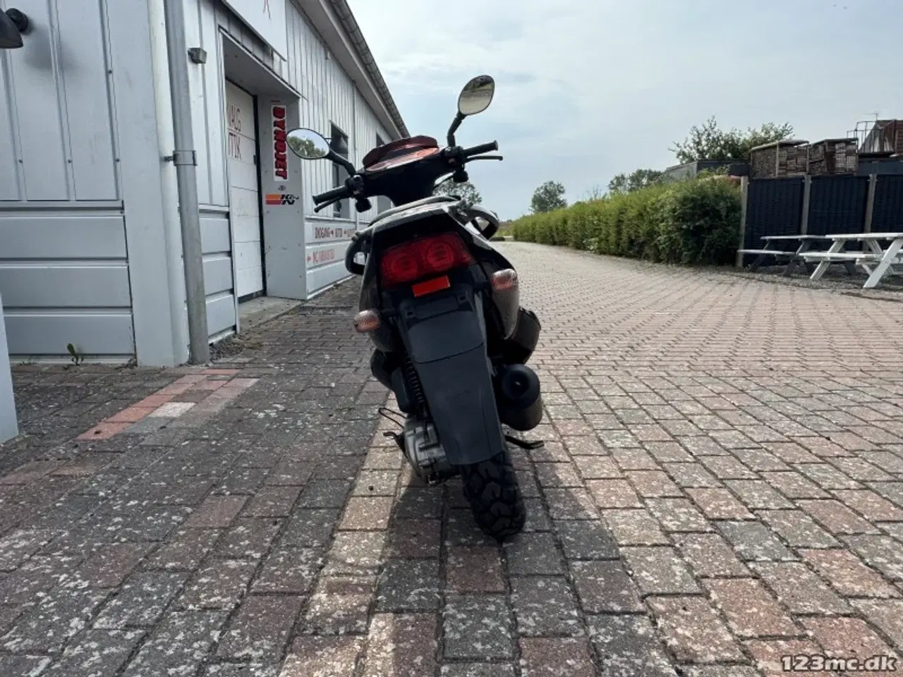 Billede 4 - PGO T-Rex 110