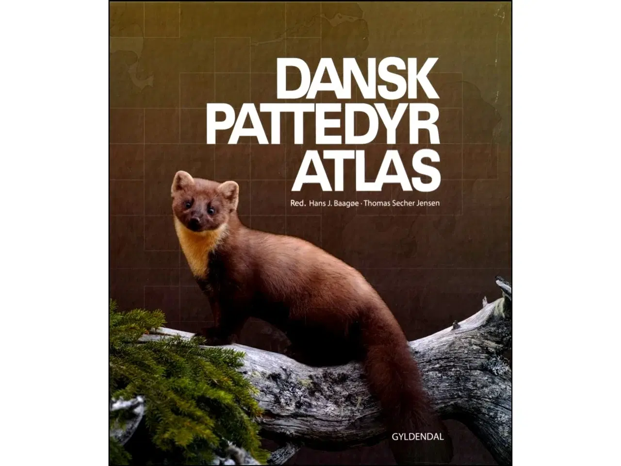 Billede 1 - Dansk Pattedyratlas
