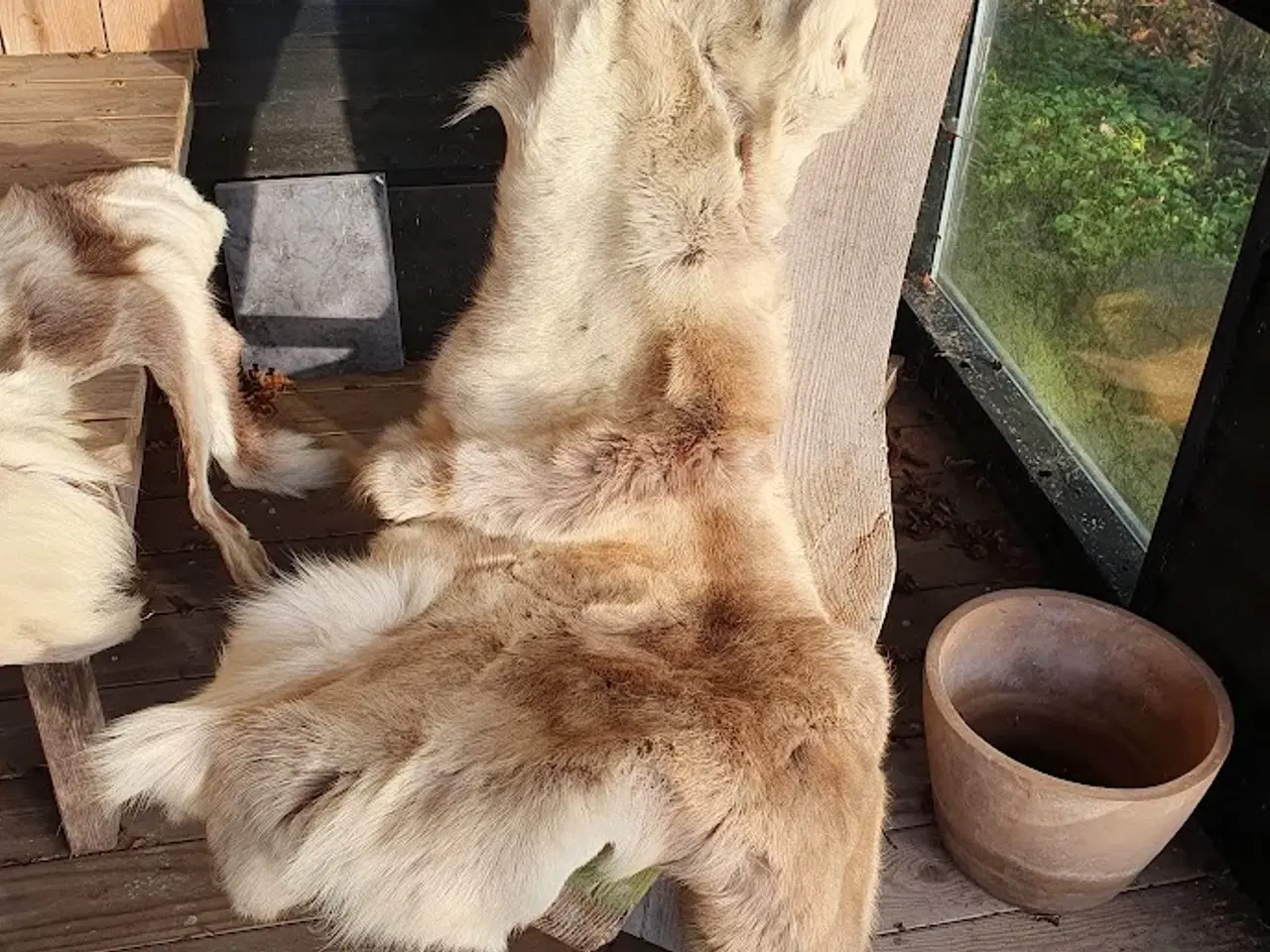 Billede 3 - Lækre rensdyrskind - varmt ligge-sidde underlag.