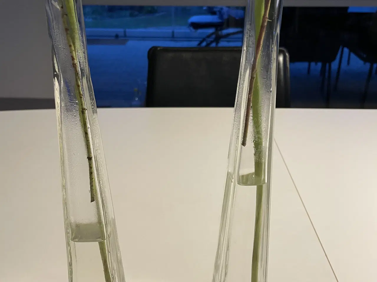 Billede 2 - 18 stk høje slanke vaser