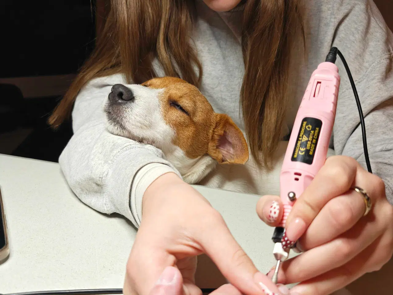 Billede 14 - Jack Russell Terrier Han