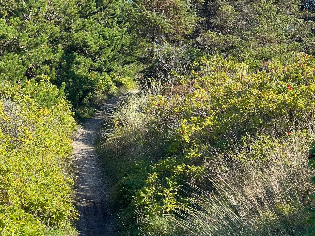 Billede 2 - Kærligste Milo 